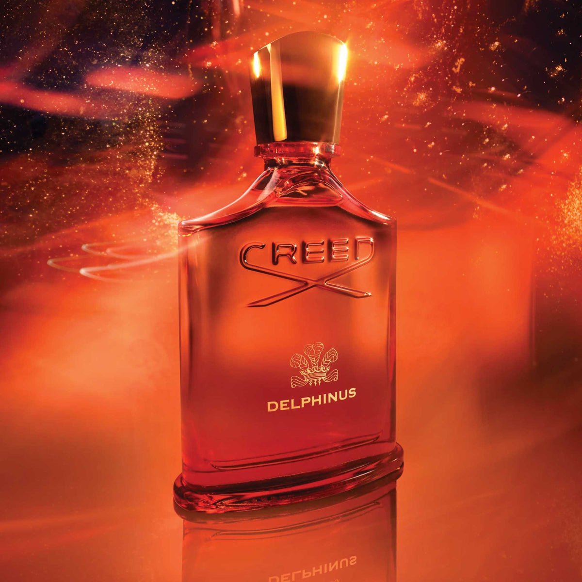 Creed Delphinus Eau de Parfum 100ml view 2 – original incense, orris and leather amber perfume in Egypt