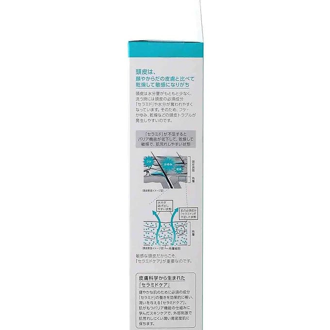 Curel Scalp Moisturizing Lotion (4.2 fl oz / 120 ml)