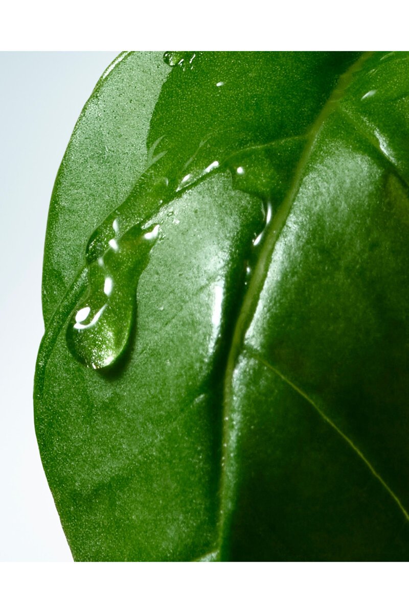 Dries Van Noten Basil & Hinoki Liquid Soap 360g bottle – view 2