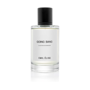 Emil Élise Going Bang Eau de Parfum 100ml bottle – original incense, cardamom and leather spicy woody perfume in Egypt