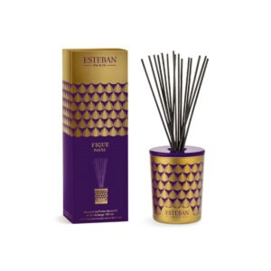 Esteban Figue Noire Decorative Bouquet bottle – original black fig, violet leaf and sandalwood reed diffuser in Egypt