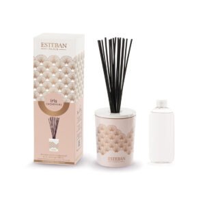 Esteban Iris Cachemire Decorative Bouquet 100ml bottle – original iris, rose and cashmere wood reed diffuser in Egypt
