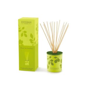 Esteban Sous les Feuilles Decorative Bouquet bottle – original grapefruit, tomato leaf and white peach green reed diffuser in Egypt