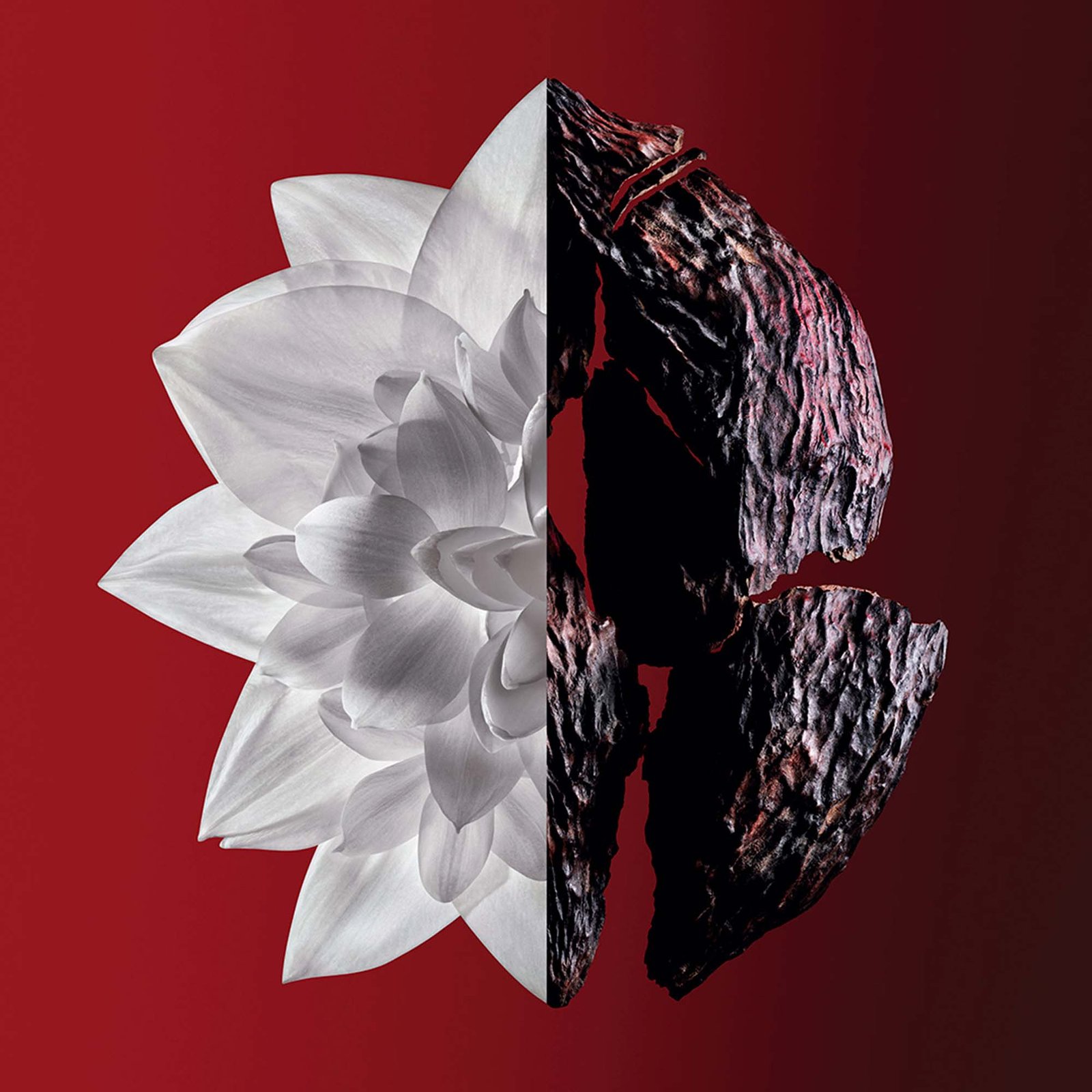 Givenchy L'Interdit Eau de Parfum Rouge Ultime for women – view 2