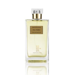 Nina Freidmodin Feu Follet Eau de Parfum 100ml bottle – original spices, leather and benzoin smoky perfume in Egypt