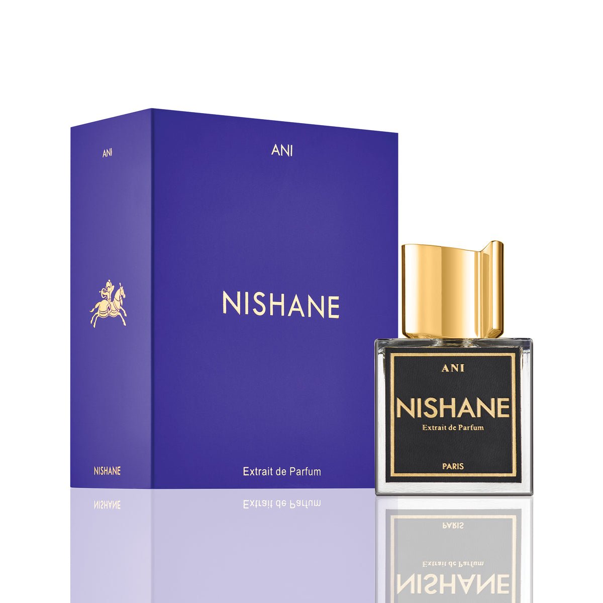 Nishane Ani Eau de Parfum 100ml view 2 – original ginger, vanilla and musk oriental in Egypt