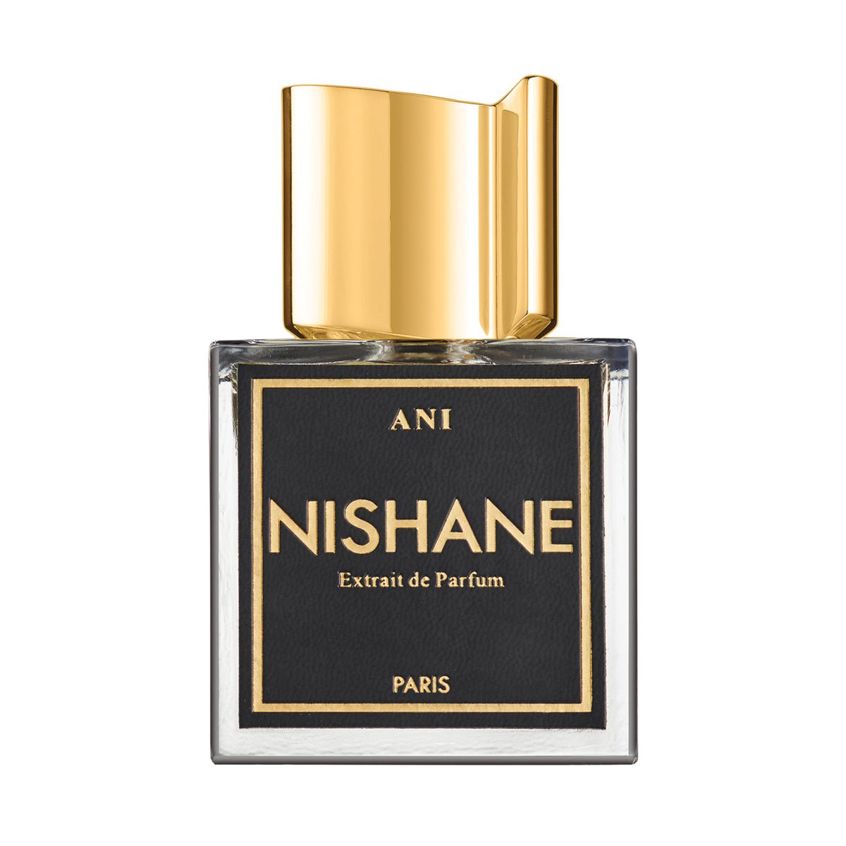 Nishane Ani Eau de Parfum 100ml bottle – original ginger, vanilla and musk oriental in Egypt