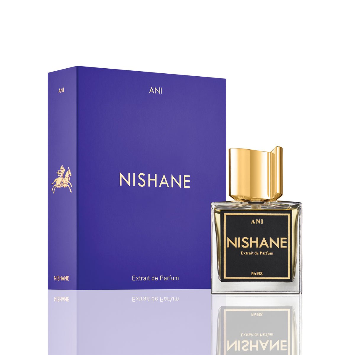 Nishane Ani Eau de Parfum 50ml view 2 – original ginger, vanilla and musk oriental in Egypt
