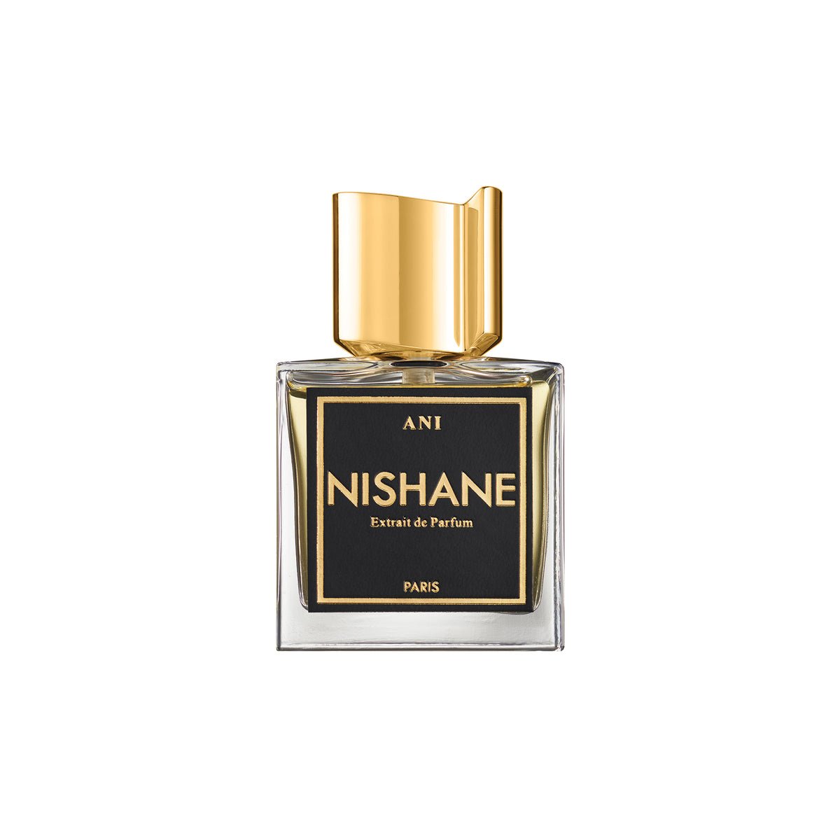 Nishane Ani Eau de Parfum 50ml bottle – original ginger, vanilla and musk oriental in Egypt