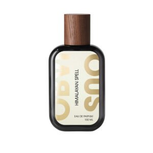 Aveda Botanical Repair Styling Creme 150ml – Bond-Building Heat Protectant