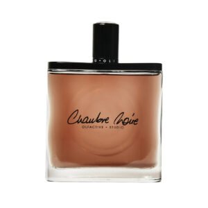 OLFACTIVE STUDIOS Chambre Noire Eau de Parfum 100ml bottle – original plum, violet and leather woody in Egypt