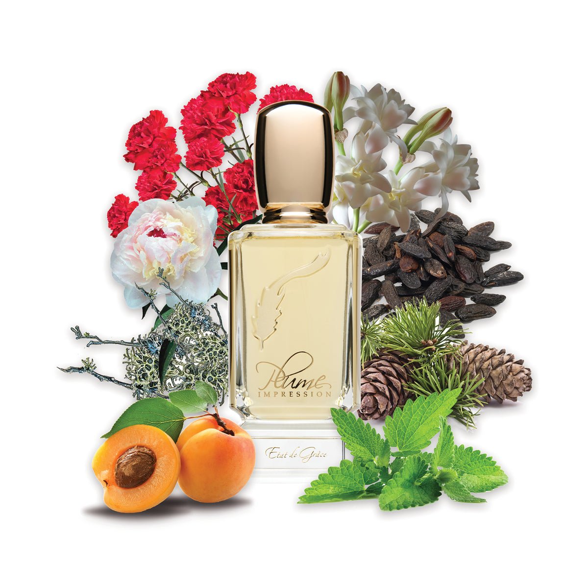 Plume Impression Etat de Grâce Eau de Parfum 80ml view 3 – original apricot, tuberose and oakmoss in Egypt