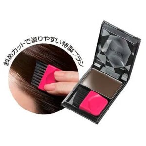 Prior Instant Gray Hair Cover Foundation