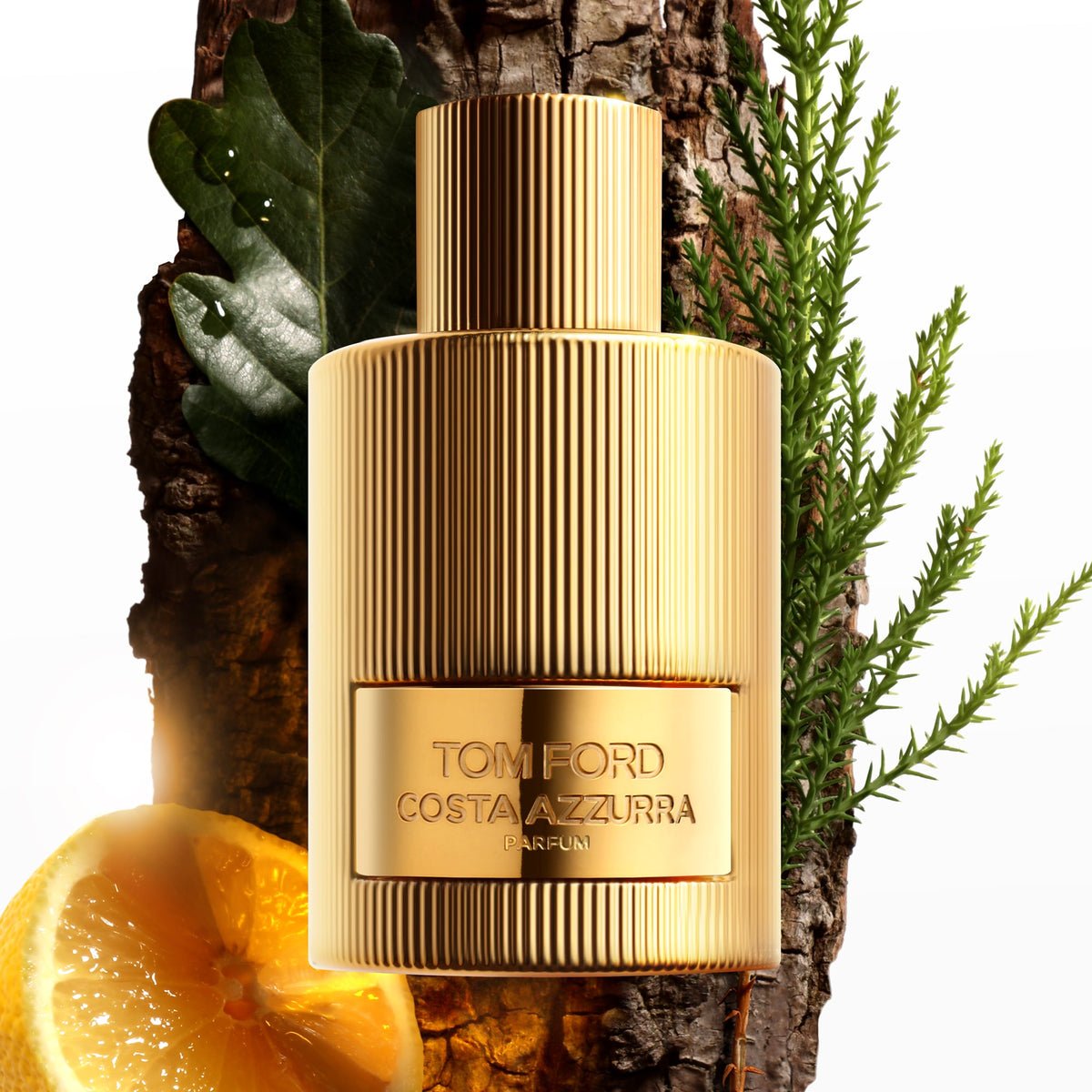 Tom Ford Costa Azzurra Parfum – view 2