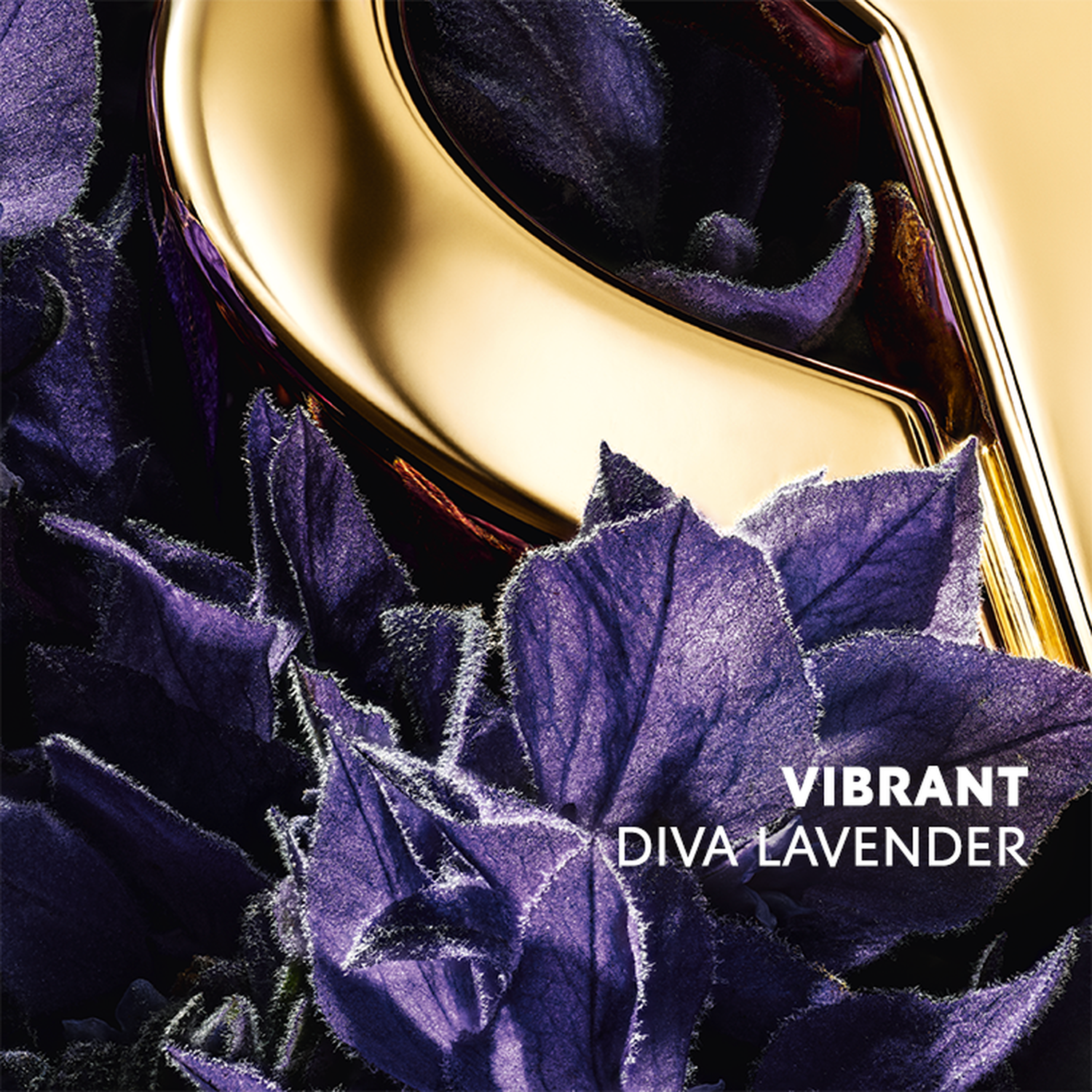 YSL Libre Santal Couture for women – view 4